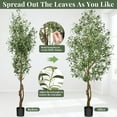 thumbnail image 2 of Laintene 7ft Artificial Olive Tree – Realistic Faux Olive Tree with 1872 Leaves & Black Pot, Indoor Greenery for Living Room, Office, or Home Decor, Easy Assembly, 2 of 7
