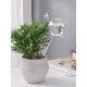 thumbnail image 3 of Plant Waterer Self Watering Bulbs, Globos de riego de plantas de vidrio transparente soplado a mano para interiores Adepaton WMZL-554-2, 3 of 6