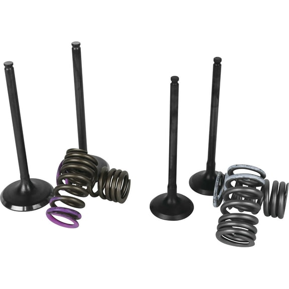 Wiseco SVKB2414 Garage Buddy replacement valve Set