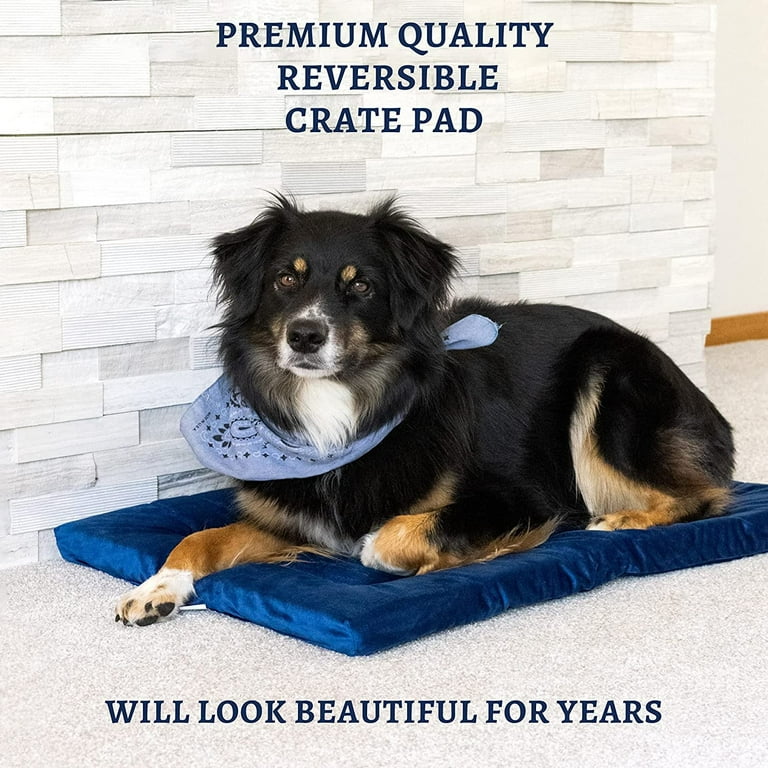 Kennel bedding for top dogs