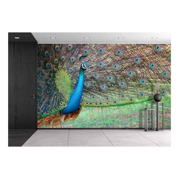 wall26 - Portrait of Beautiful Peacock with Feathers Out - Removable Wall Mural | Self-Adhesive Large Wallpaper - 66x96 inches