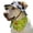 A,L, variant on Dog Sun Hat drool bib set, Adjustable Princess Dog Bucket Hat with Ear Holes, Hat for Pupies Small Dogs Cat Outdoor Sport