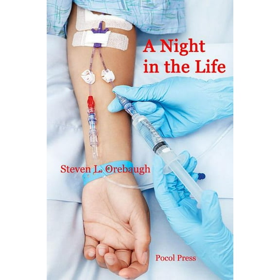 A Night in the Life (Paperback)