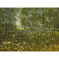 thumbnail image 2 of Adamov, Alexey 24x19 Black Ornate Wood Framed with Double Matting Museum Art Print Titled - Spring Landscape III, 2 of 4