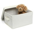 Household Essentials Large Canvas Storage Box with Lid