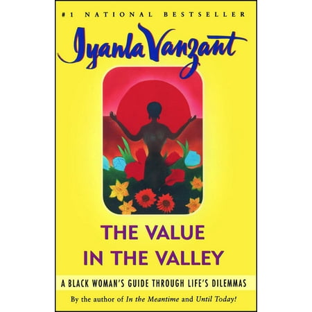 The Value in the Valley : A Black Woman's Guide Through Life's
