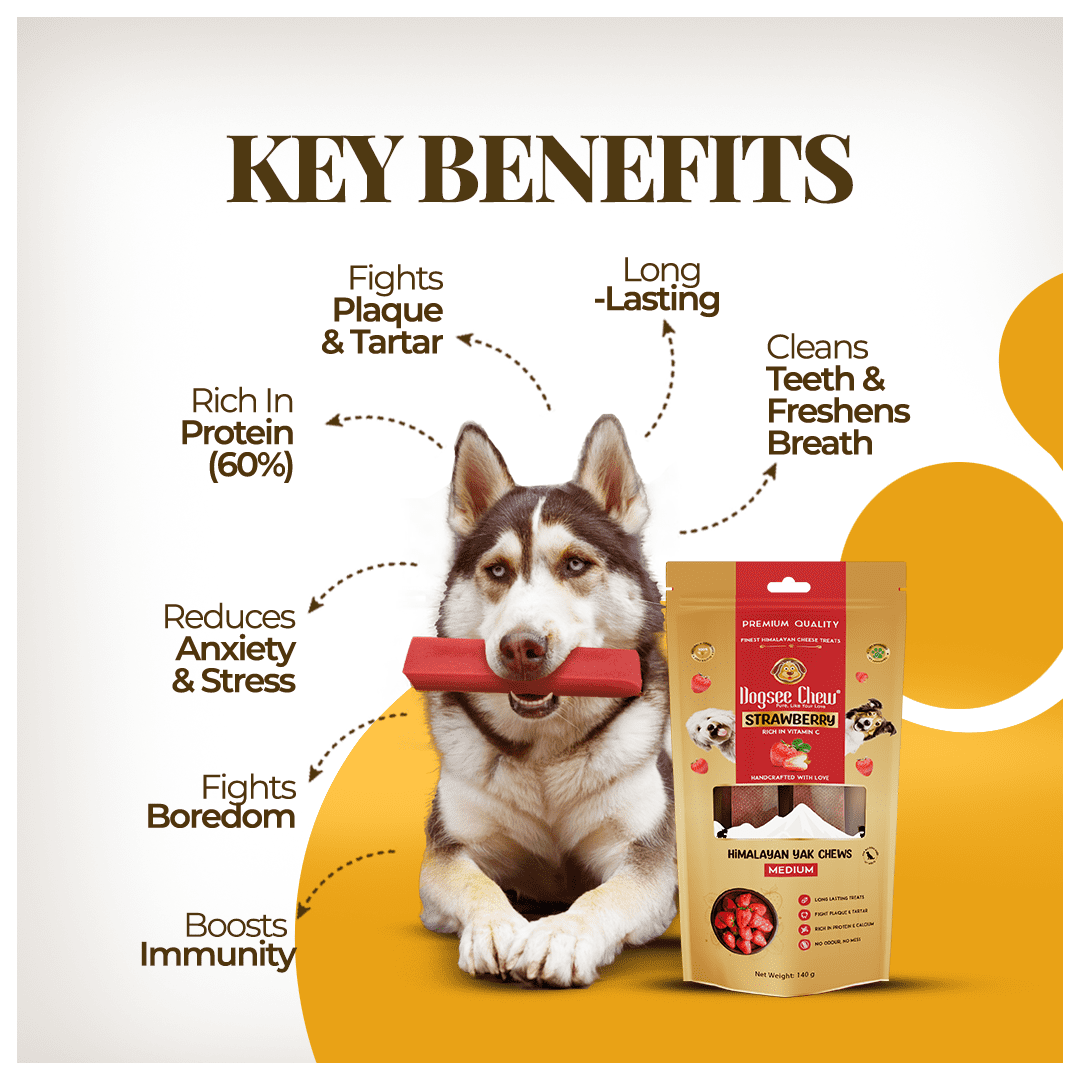 Dogsee Yak Cheese Chews Large Dogs Strawberry Dental Care Immunity 4 Bars