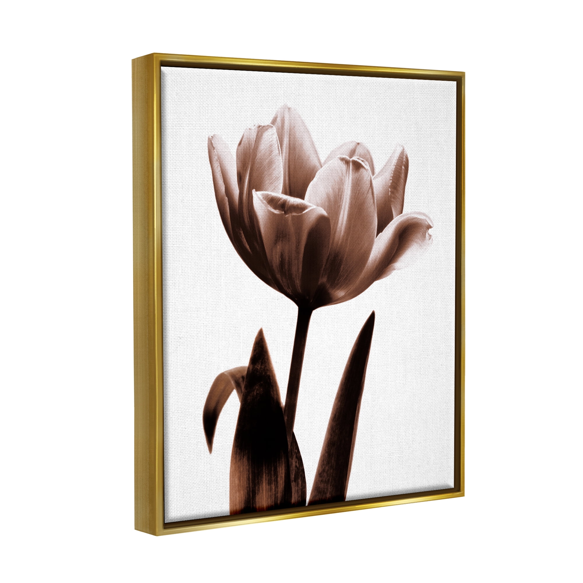 Stupell Industries Modern Tulip on White Botanical & Floral Photography Gold Floater Framed Art Print Wall Art, 25 x 31