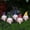5Pcs Garden Gnome Under $5 A1, variant on Garden Gnome, Yannianjz Decorative Garden Gnome Ornament, Resin Dwarf Statue For Yard, Patio, Potted Greenery, Colorful And Weather Resistant, Whimsical Decor For Outdoor Landscape And Home Garden