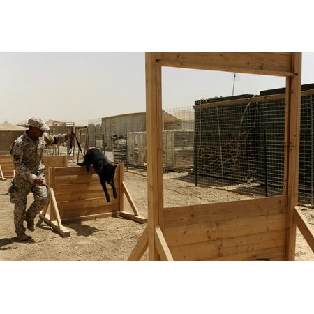 LAMINATED POSTER An Iraqi policeman with the Diyala police dog program runs his dog through an obstacle course during Poster Print 24 x