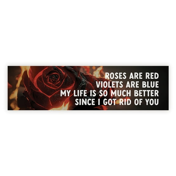 Koyal Wholesale Galentines Day Decorations Banner, My Life is so Much Better | Sarcastic Anti-Valentine's Day Decor