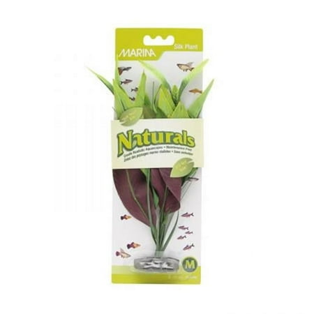 Marina Naturals Green Pickerel Silk Plant, Medium