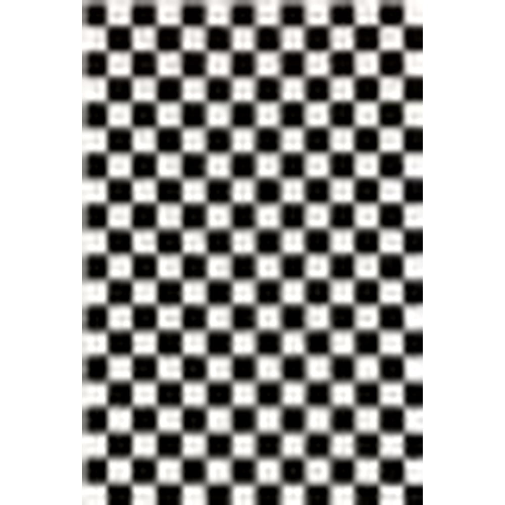 1909 Checkered Black and White 5 x 7 Area Rug Carpet