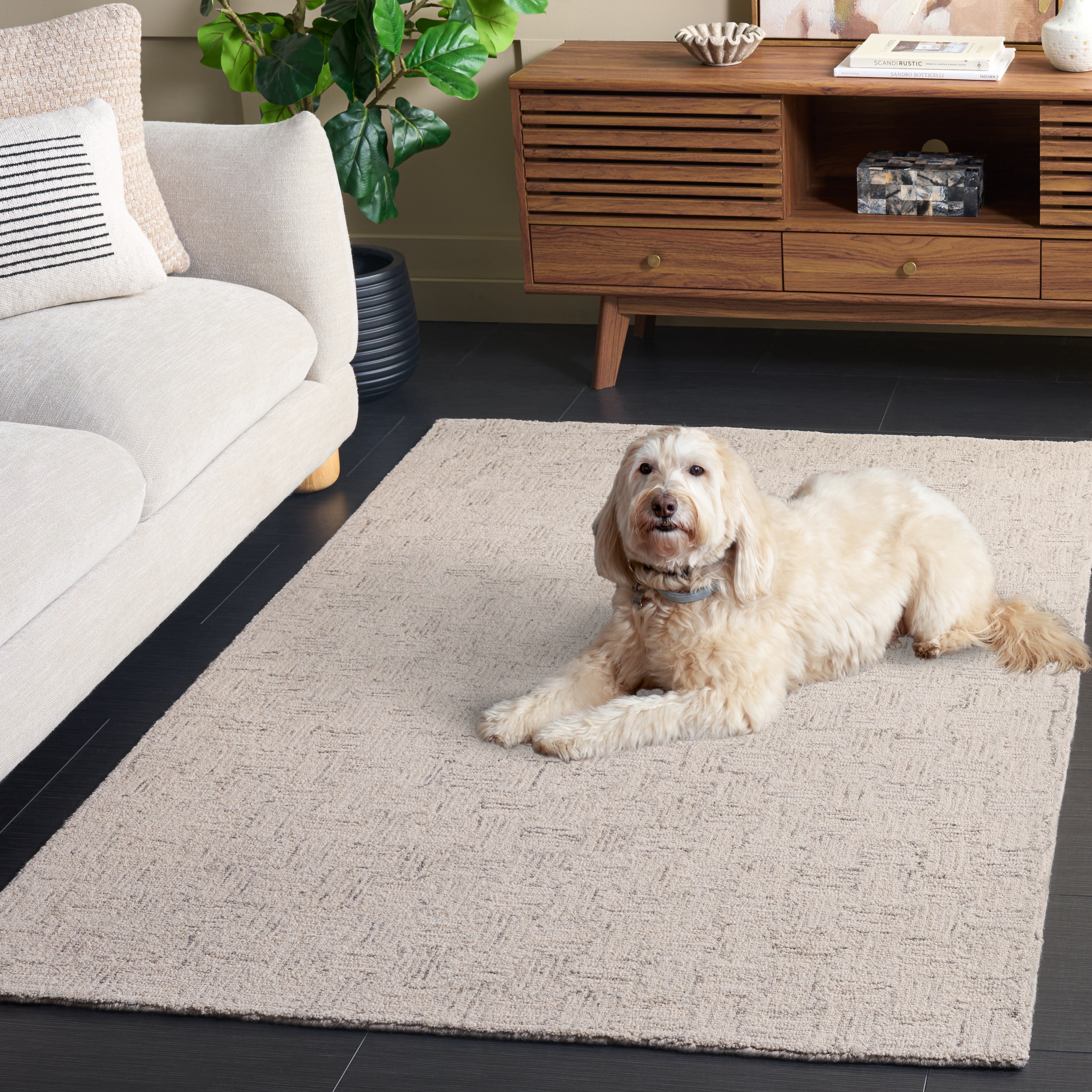 Safavieh Micro-Loop Charlotte Solid Area Rug, Light Gray/Ivory, 6' x 8'