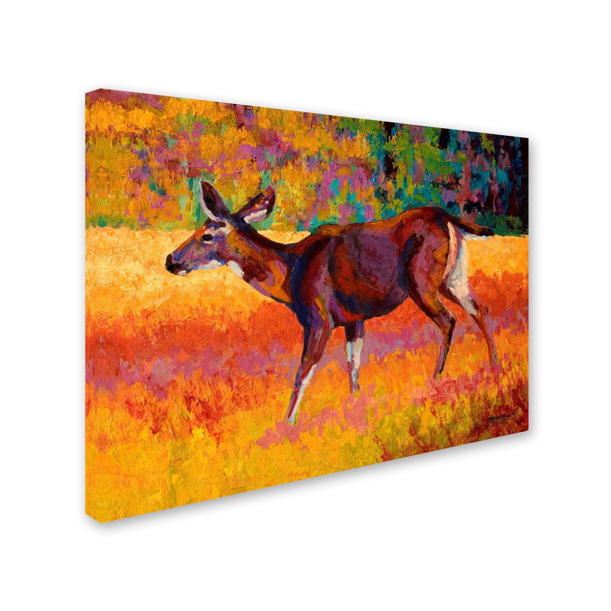 Marion Rose 'Doe I' Canvas Art