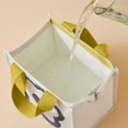 Ice Pack Meal Bag Insulated High Appearance Level Insulated Lunch Box