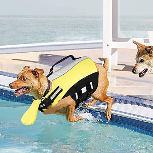 Dog life hotsell vest walmart