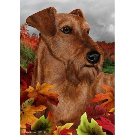 Irish Terrier - Best of Breed Fall Leaves Garden