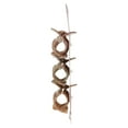 thumbnail image 3 of Goody Suzy Claw Clips - Goody Set Of 3 Suzy large Claw Clips In Brown Shades, 3 of 5