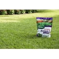 thumbnail image 5 of Scotts Turf Builder Bonus S Southern Weed & Feed, 17.24 lbs., 5,000 sq. ft., 5 of 8