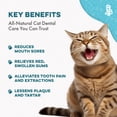 thumbnail image 4 of BestLife4Pets Cat Dental Care & Bad Breath Supplement Relief for Stomatitis, Gingivitis & Gum Problems Easy-to-Use Pills, 4 of 18