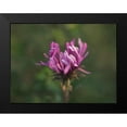 thumbnail image 2 of Bonin, Suzanne 18x15 Black Modern Framed Museum Art Print Titled - Aster in the Morning, 2 of 5