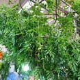 thumbnail image 4 of Toystoory Hojas ricas artificiales hierba hoja falsa follaje verde planta decoración del hogar Kits de decoración para fiestas No.03, 4 of 6