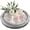 White Rustic, variant on Candle Plate Holder Tray: Round Wooden Decorative Candle Plate Small Farmhouse Table Centerpiece Rustic White Wood Tealight Pillar Trays for Home Decor (Distressed)