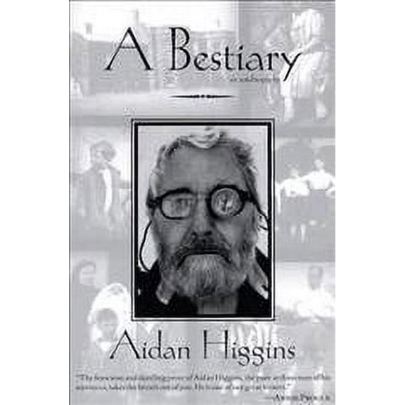 Irish Literature: A Bestiary (Paperback)