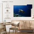 thumbnail image 5 of Elephant Stock Turtle Adventure Wall Art - Horizontal Canvas Wall Art - Living Room Wall Decor - Animal Canvas - Blue And Turquoise Decor - 12" x 8", 5 of 8