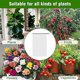 thumbnail image 4 of Cubierta protectora para plantas, bolsa para plantas de 4 piezas con cordón, cubierta para plantas antiinsectos, malla fina para protección de verduras y frutas 100*150cm, 4 of 5