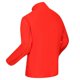thumbnail image 5 of Regatta - Polar Stanner II para Hombre (Naranja Cajún), 5 of 5