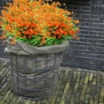 thumbnail image 5 of Fdelink Artificial Flowers 2Pc Artificial Flower Latex Real Bridal Wedding Bouquet Home Decoration Fake Flowers Flores Artificiales Decoracion Lings Artificial Flowers Artificiales Rose (Orange), 5 of 8