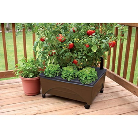 Earth Brown Resin Raised Garden Bed Grow Box Kit with Self Watering System and Casters Patio and Deck Gardening, 24-in X 20-in surface growing.., By Emsco