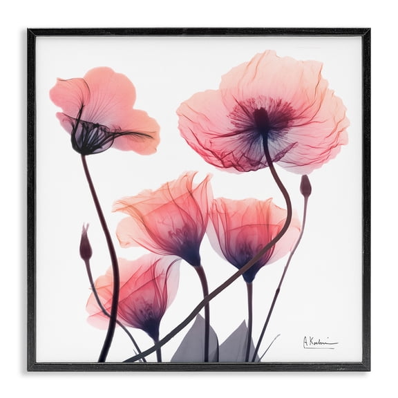 Stupell Industries Elegant Modern Poppy Buds Floral Photography Black Framed Art Print Wall Art, 12 x 12