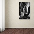 thumbnail image 4 of Trademark Fine Art "White Waterfall" Canvas Art by Philippe Sainte-Laudy, 4 of 4