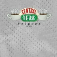 thumbnail image 5 of Friends Central Perk Logo Mens Lined Mesh Shorts, Silver, 2X-Large, 5 of 6