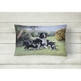 thumbnail image 2 of Carolines Treasures BDBA0257PW1216 Border Collie Puppies with Momma Fabric Decorative Pillow 12H x16W multicolor, 2 of 3