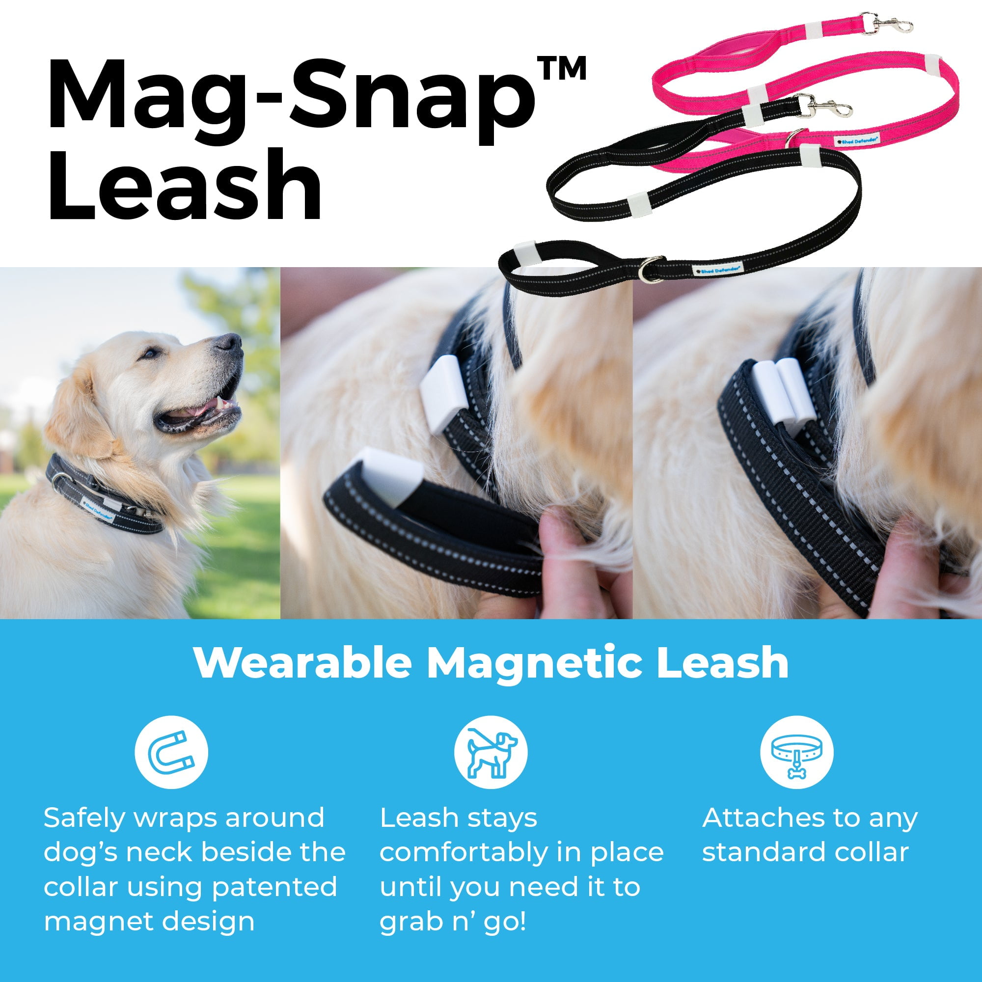 Magnetic leash hotsell