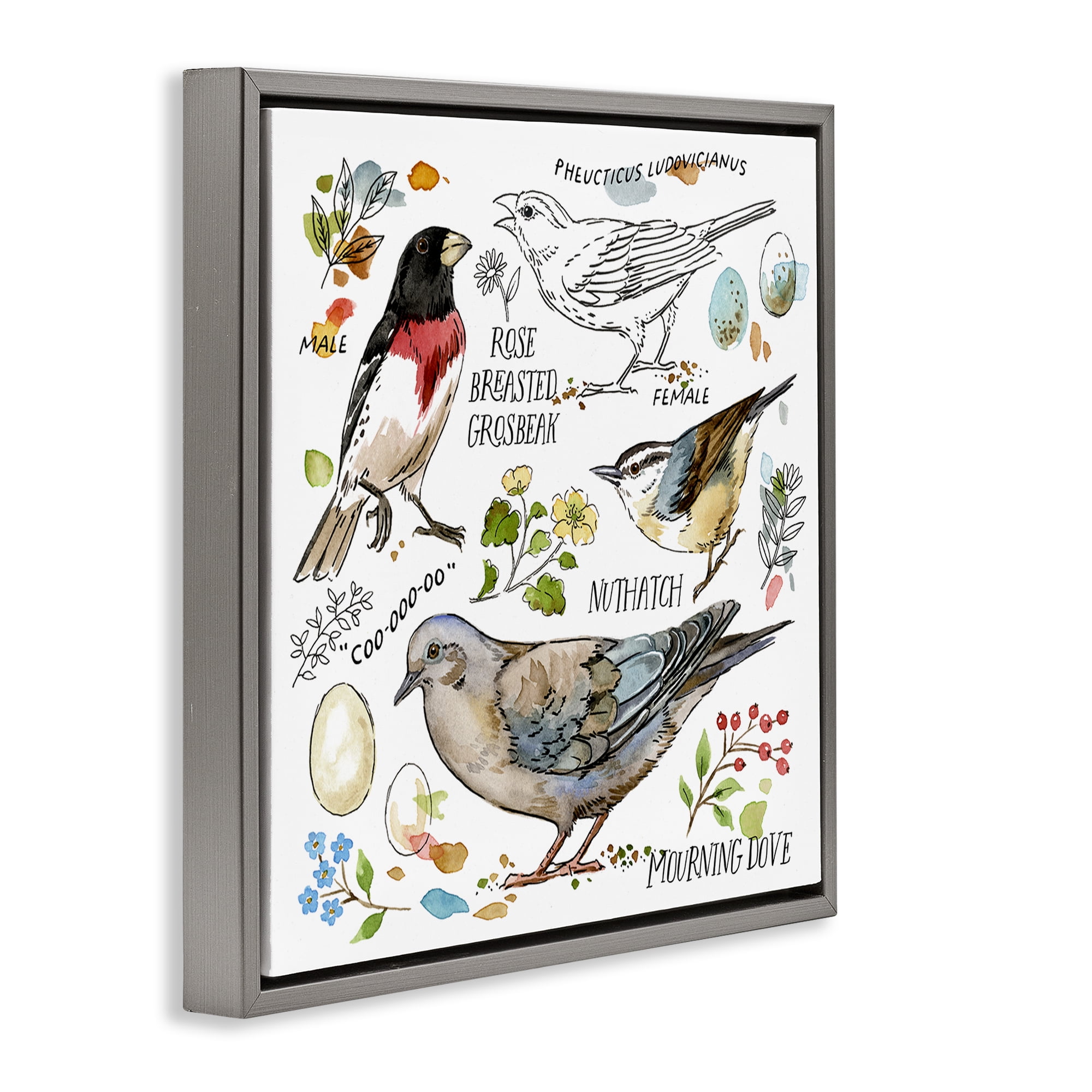 Stupell Industries Bird Watching Diagram Animals Painting Gray Floater Framed Canvas Art Print Wall Art, 18 x 18