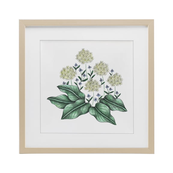 Stupell Industries Victorian Hello Wildflower Vintage Sketch Birch Framed Print Under Glass, 13 x 13, by Cecilia Battaini