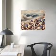 thumbnail image 4 of PIKWEEK Beach Seashell Bathroom Wall Art Coastal Floral Pictures Wall Decor Flower Starfish Canvas Painting Modern Home Decorations Artwork for Bedroom Living Room Office  16*12inch/20*16inch, 4 of 6