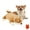 Akita Shiba Inu, variant on PET FULED Heartbeat Plush Toy for Dogs - Soft Cuddle Companion with Soothing Heartbeat, Washable - Comfort for Puppies & Adult Pets (Sloth Design)