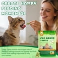 thumbnail image 4 of Oimmal Cat Grass Treats for Hairballs, Catnip Flavor, Natural Hairball Aid Snacks, Promotes Oral Cleanliness & Healthy Digestion, Irresistible Crunchy Treat for All Cats, 6.4 oz - 2 Bags, 4 of 11