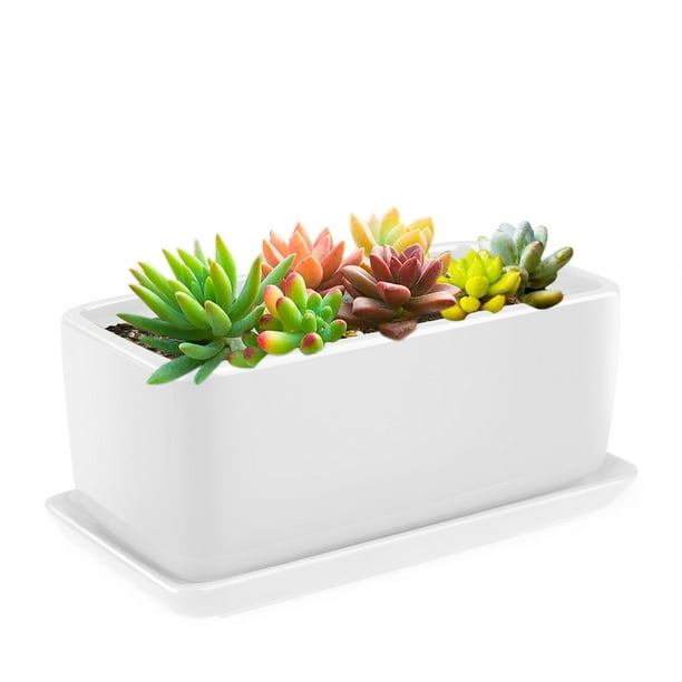 10 Inch Rectangular Ceramic Succulent Planter Pot Cactus Herb Flower