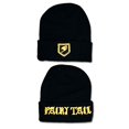 thumbnail image 2 of Fairy Tail Symbole Doré de Guilde Logo Tuque Anime GE-32373, 2 of 3
