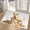 Gold Cow-A, variant on Golden Bull Gemstone Doormat Rich Gold Ox Welcome Door Mat Kitchen Floor Mat Small Area Rug for Indoor Outdoor Entrance