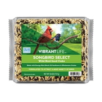 Vibrant Life Songbird Select Wild Bird Seed Cake, 26 oz