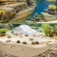thumbnail image 1 of unbranded Aquarium Decorative White Cave Tunnel with 360 Degree Viewing for Fish and Shrimp, 1 of 8