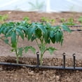 thumbnail image 2 of Miangastore 50pcs Drip Irrigation Support Stakes Irrigation Pipeline Accessory Irrigation Inserted Bracket Stakes, 2 of 9